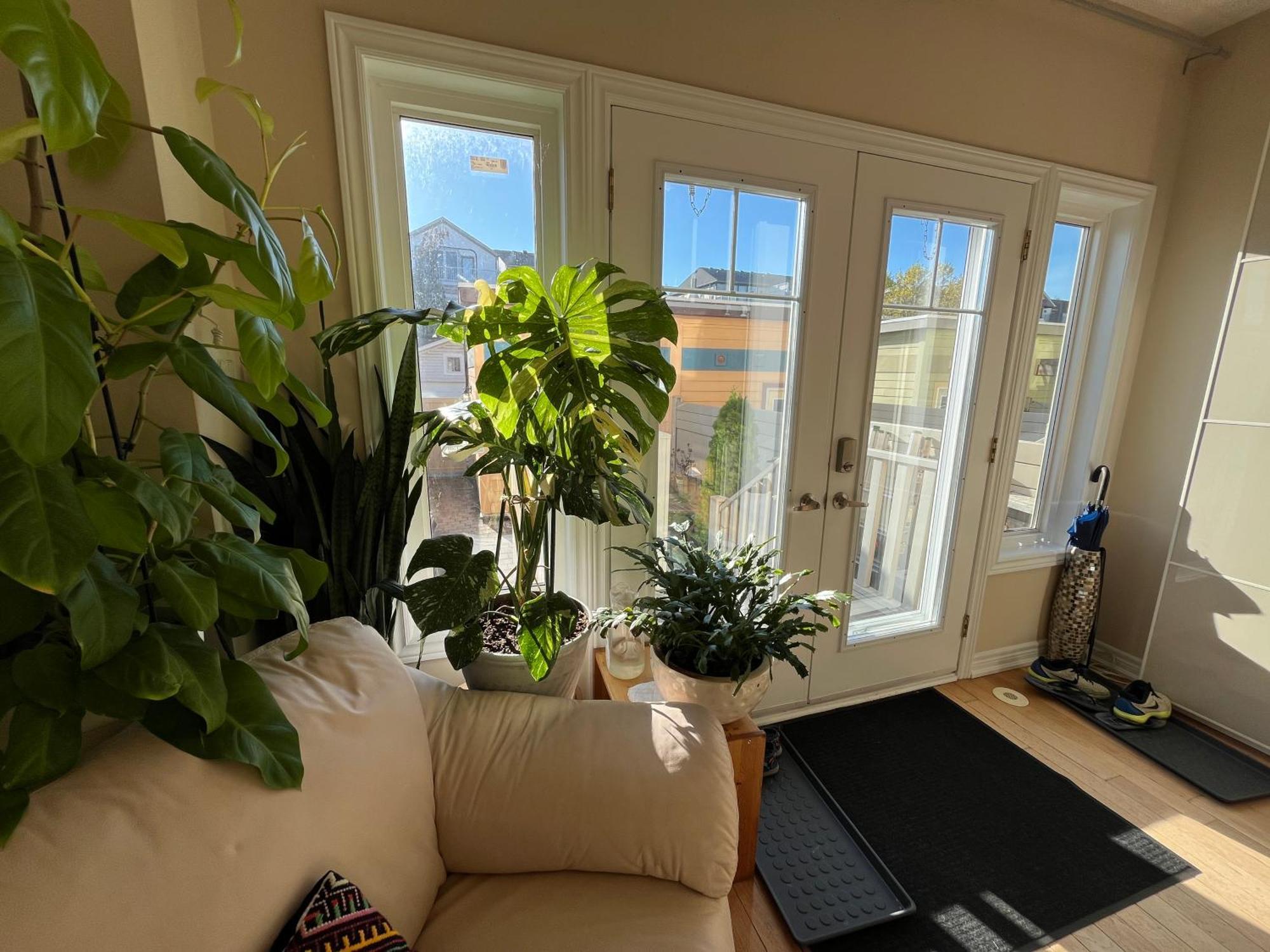 Stunning Rooms In Townhouse Across The Beach Toronto Dış mekan fotoğraf